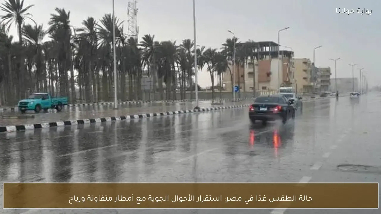 استقرار الطقس في مصر غدًا مع فرص سقوط أمطار متفاوتة ورياح نشطة